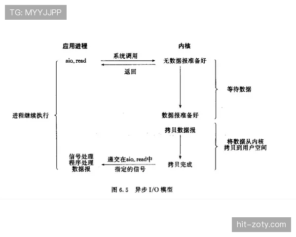 坎塞洛与阿诺德：组织型边卫的两种发展路径解析